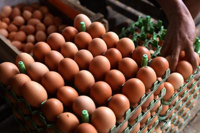 Harga Pangan Jumat 13 Oktober : Komoditas Bawang, Minyak Goreng Curah dan Telur Ayam Turun